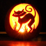 cat-pumpkin-carving_062