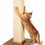 ultimate-scratching-post